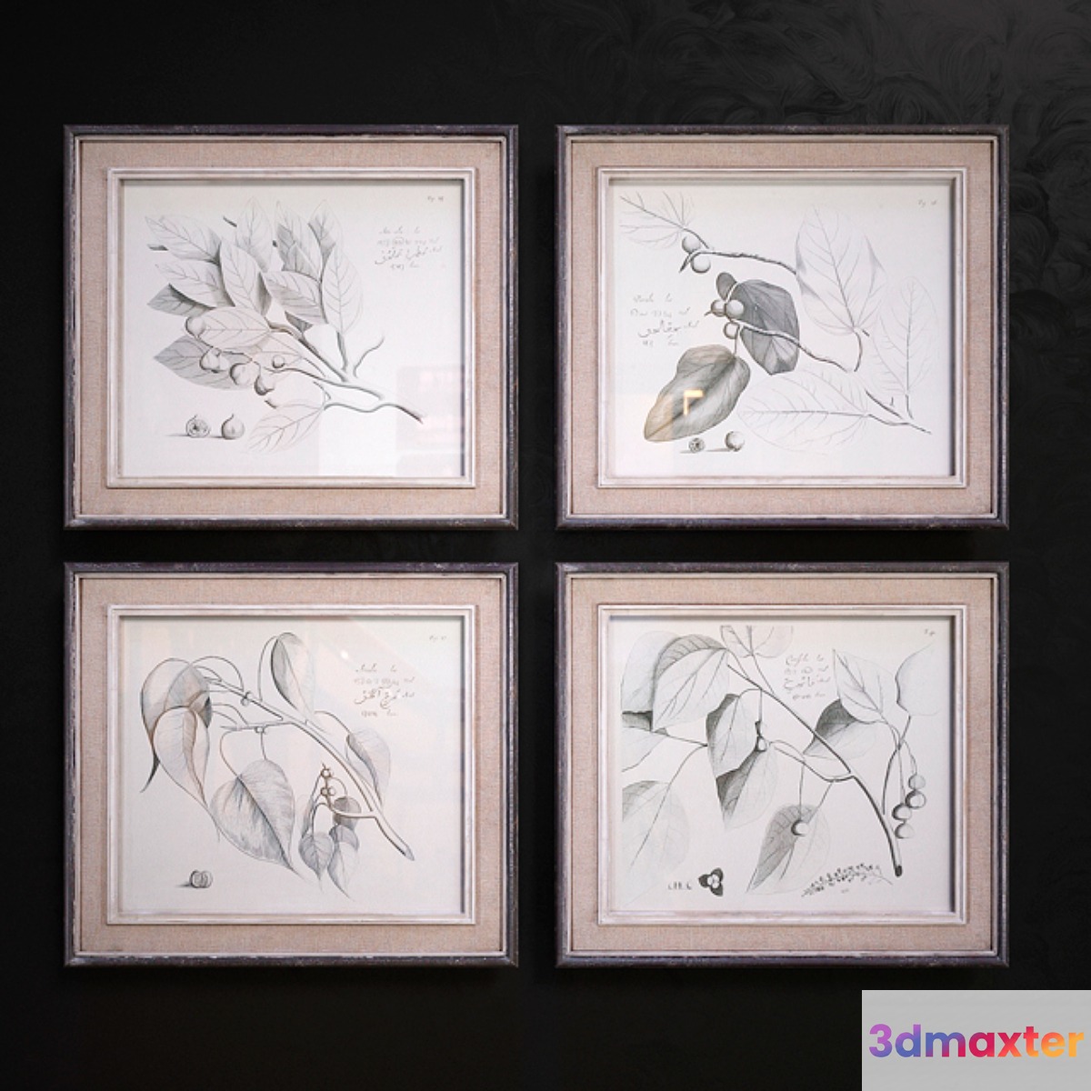Sepia Leaf Study pictures 3D Max