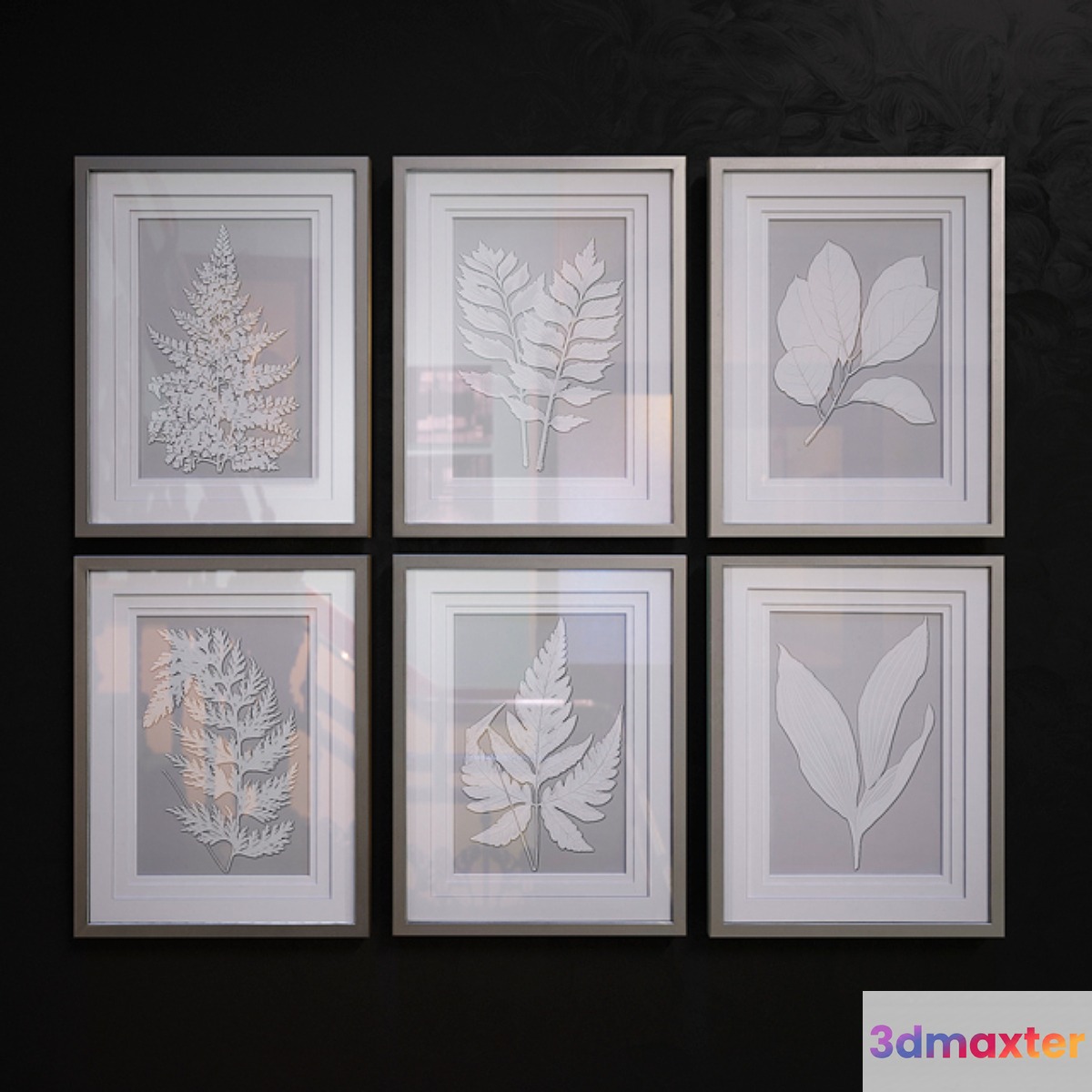 Moonlight Ferns pictures 3D Max
