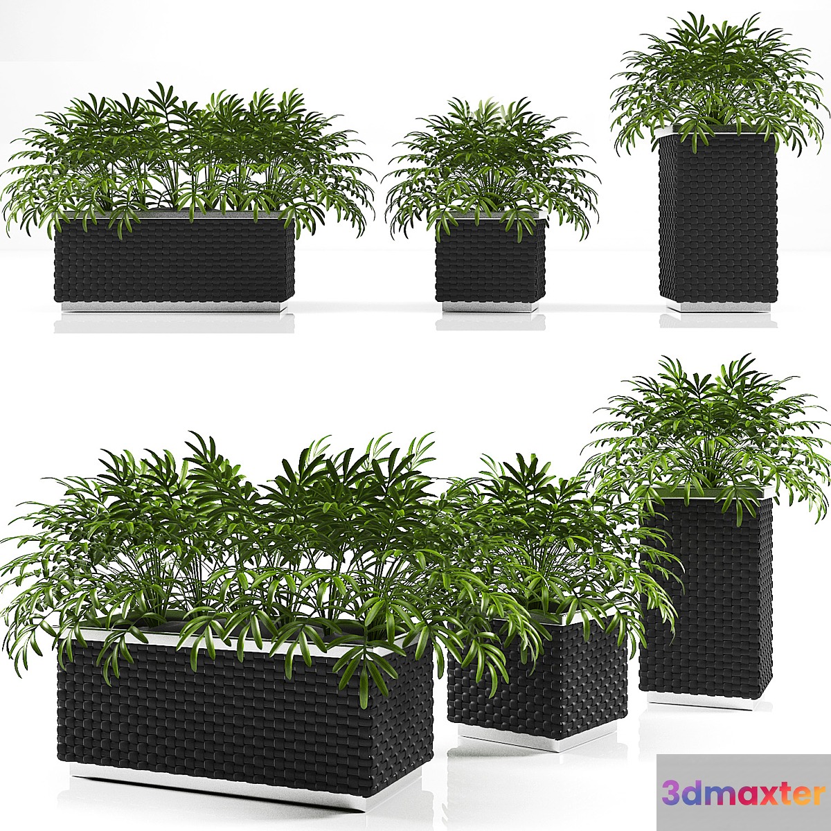 PLANTER BOX 3D Max