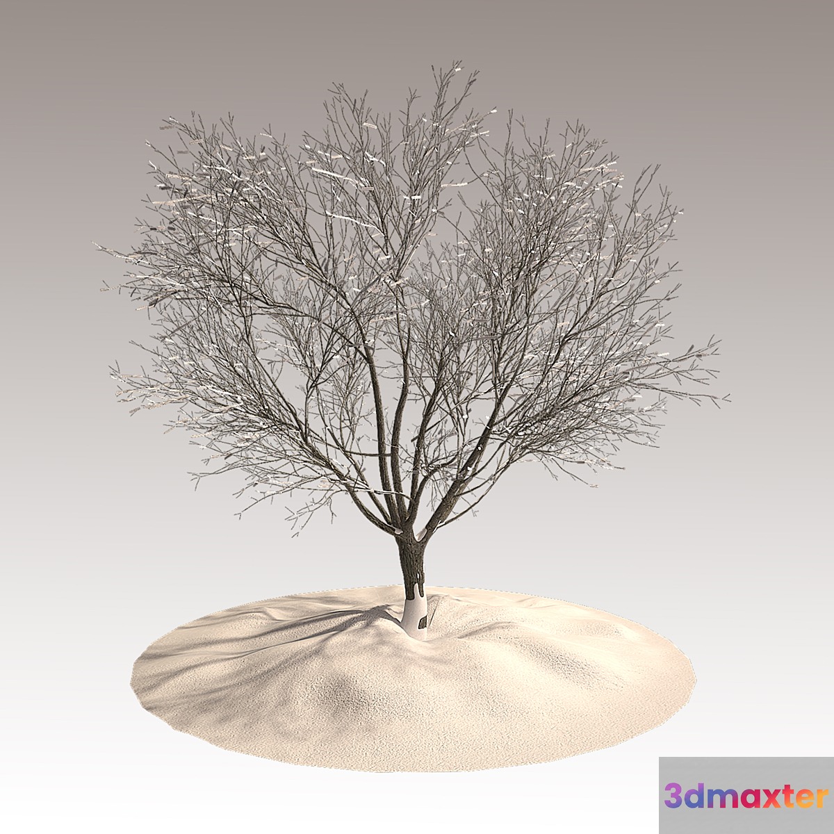 Tree in winter - No.2