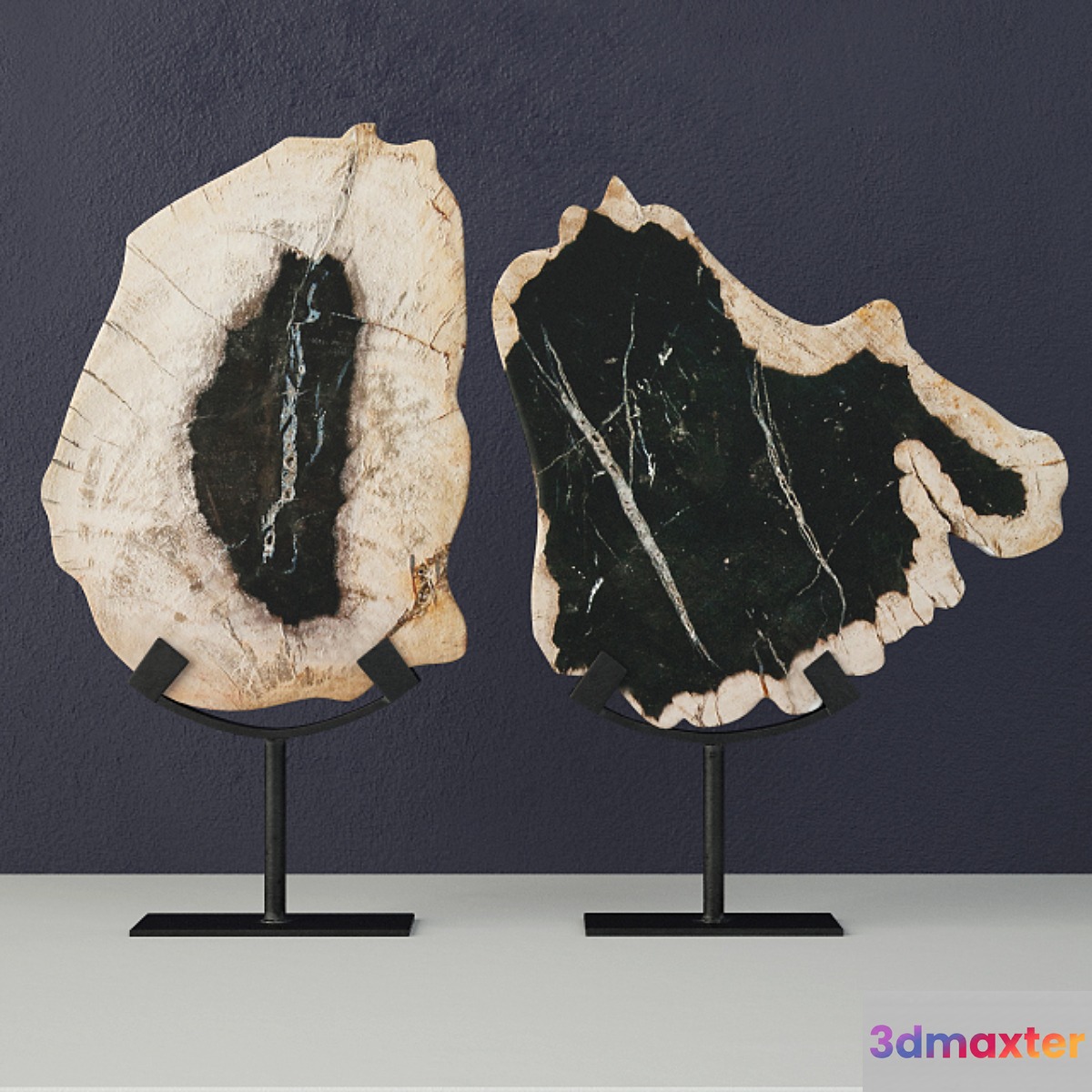 Petrified Wood Slices On Stand 3D Max