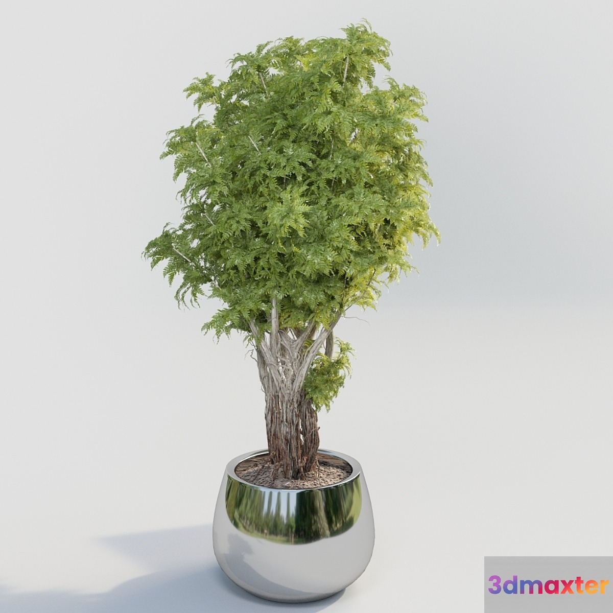 Bush in a pot - No.2 3D Max