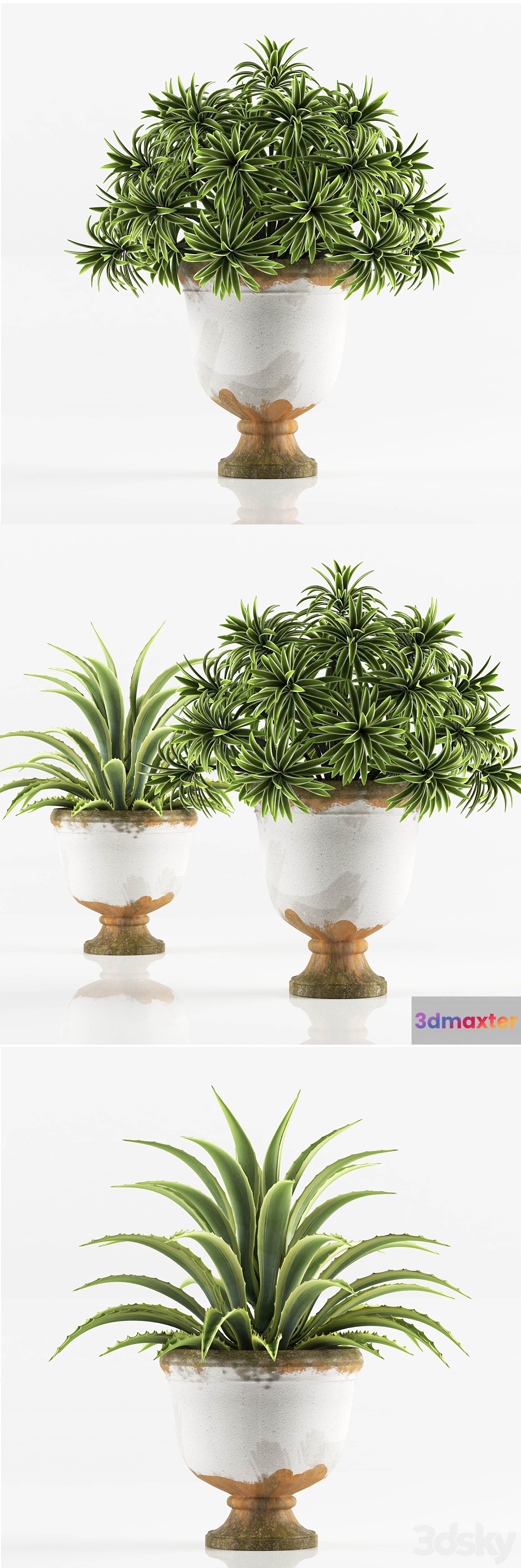 PLANTS 6 3D Max