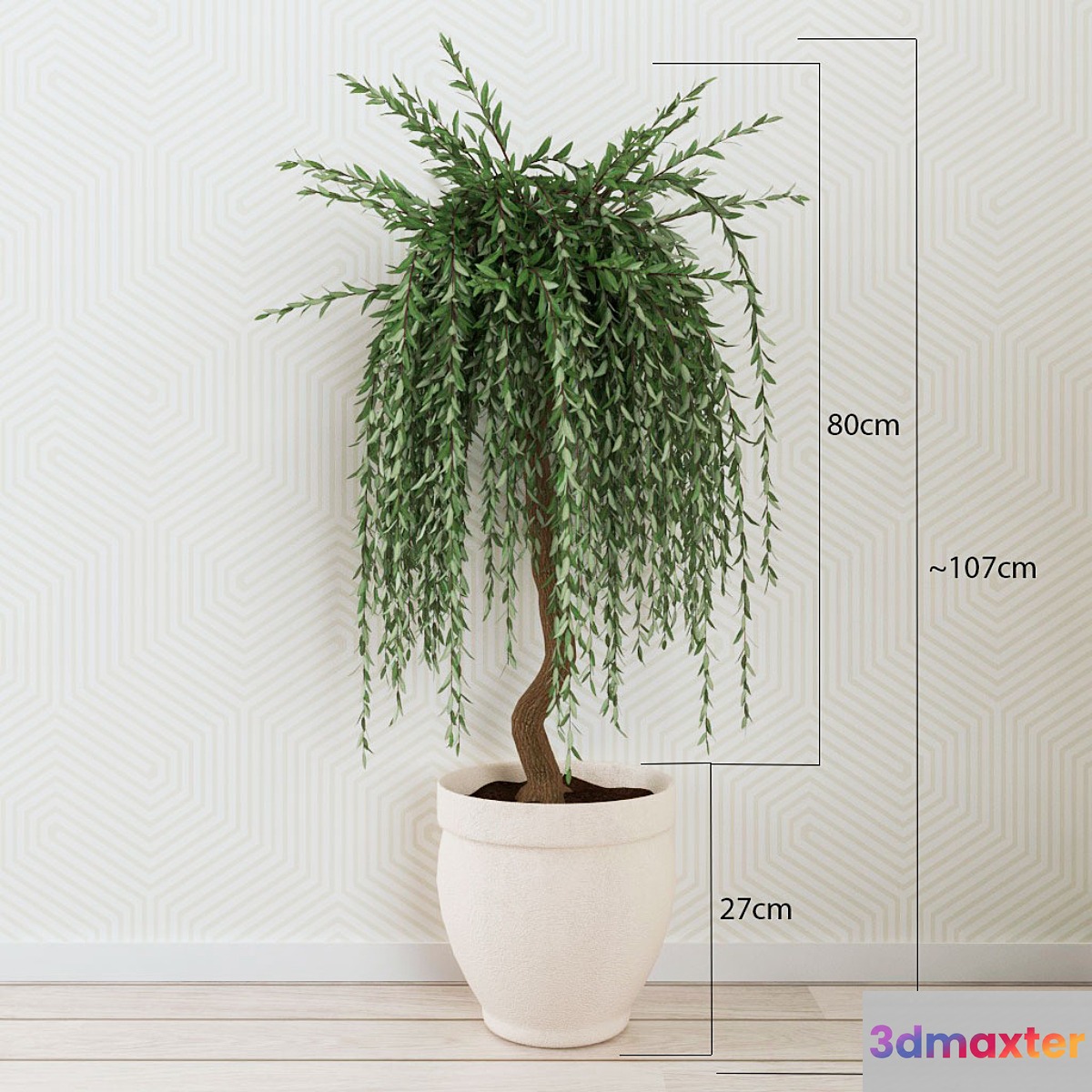Houseplant 012