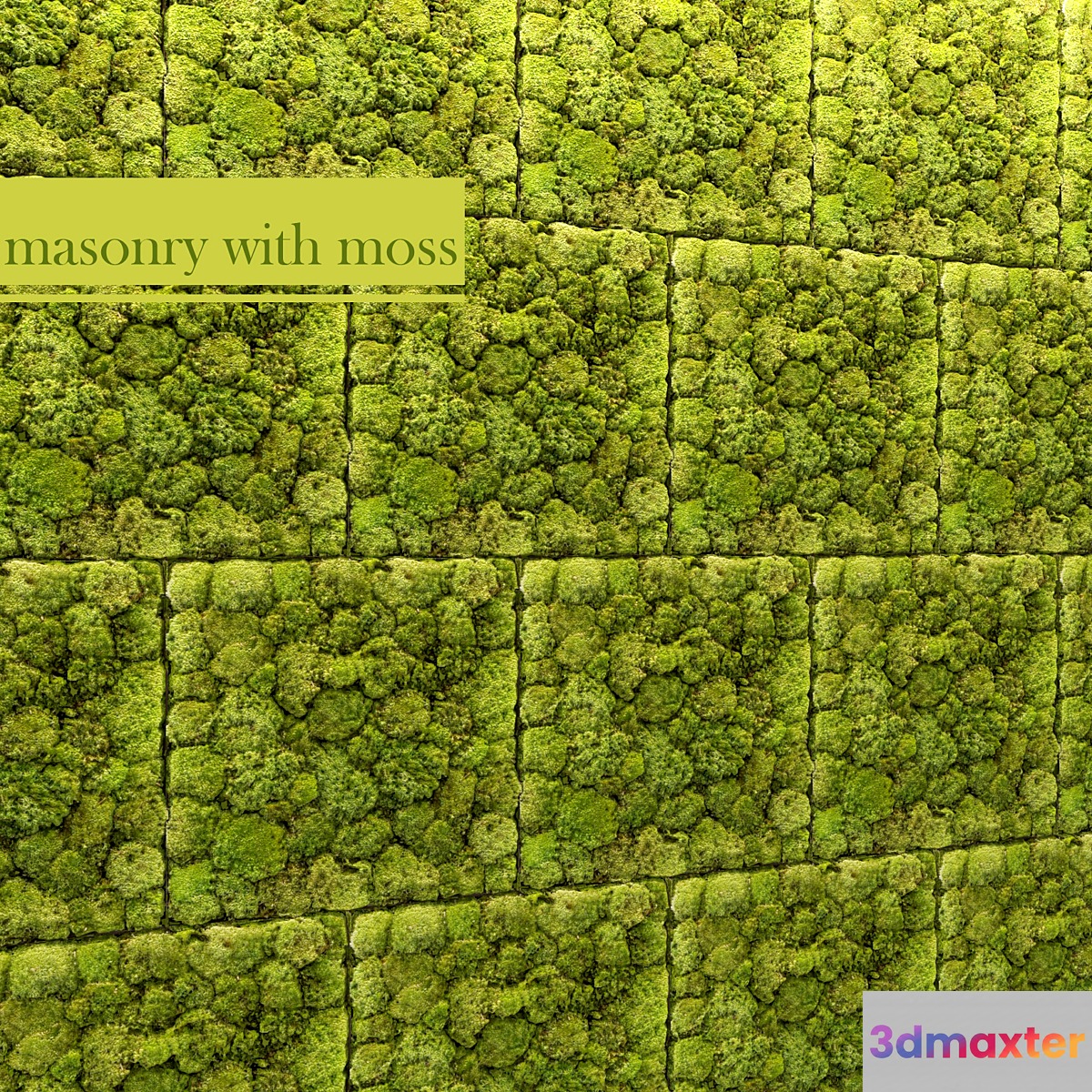 Stone and moss