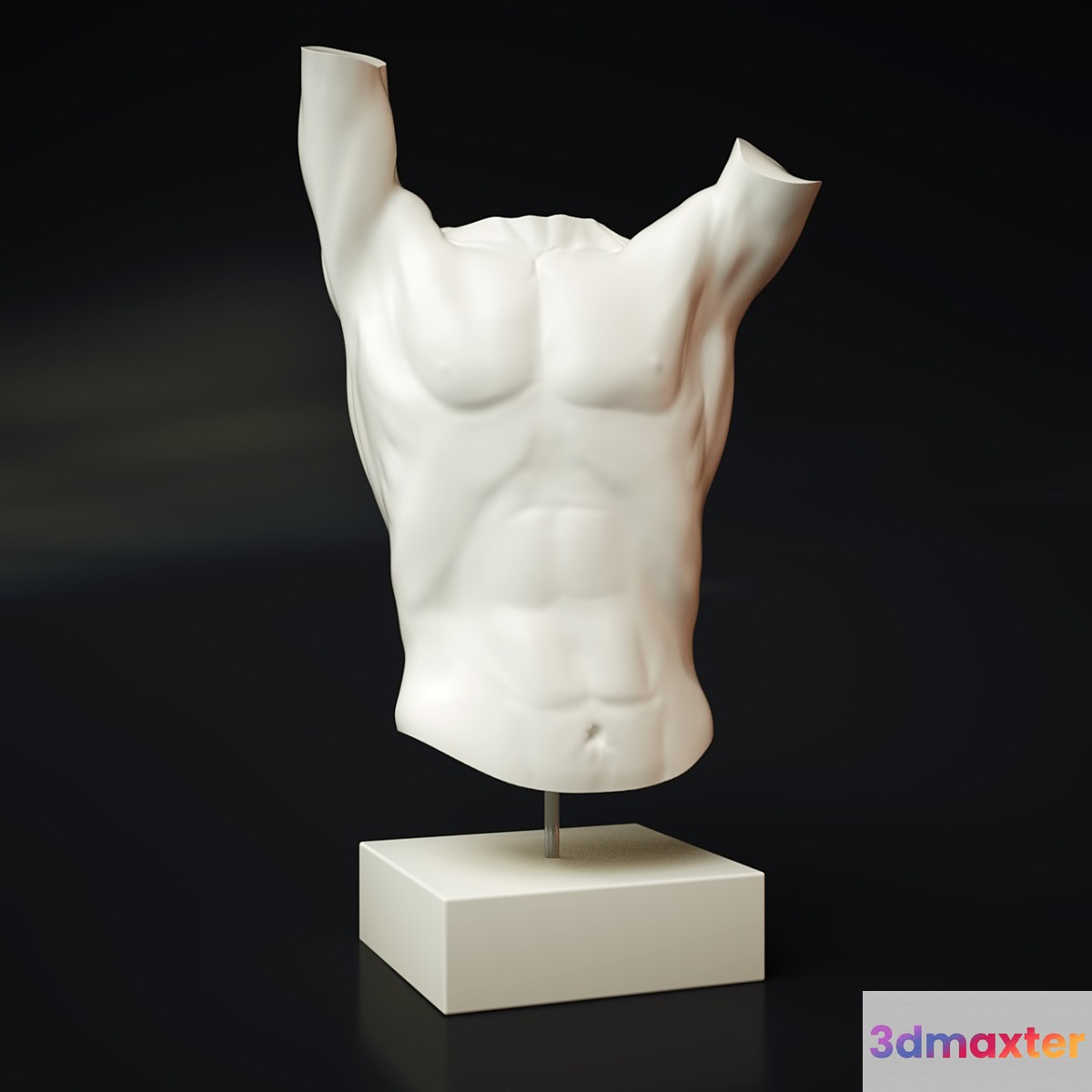 Torso Spin