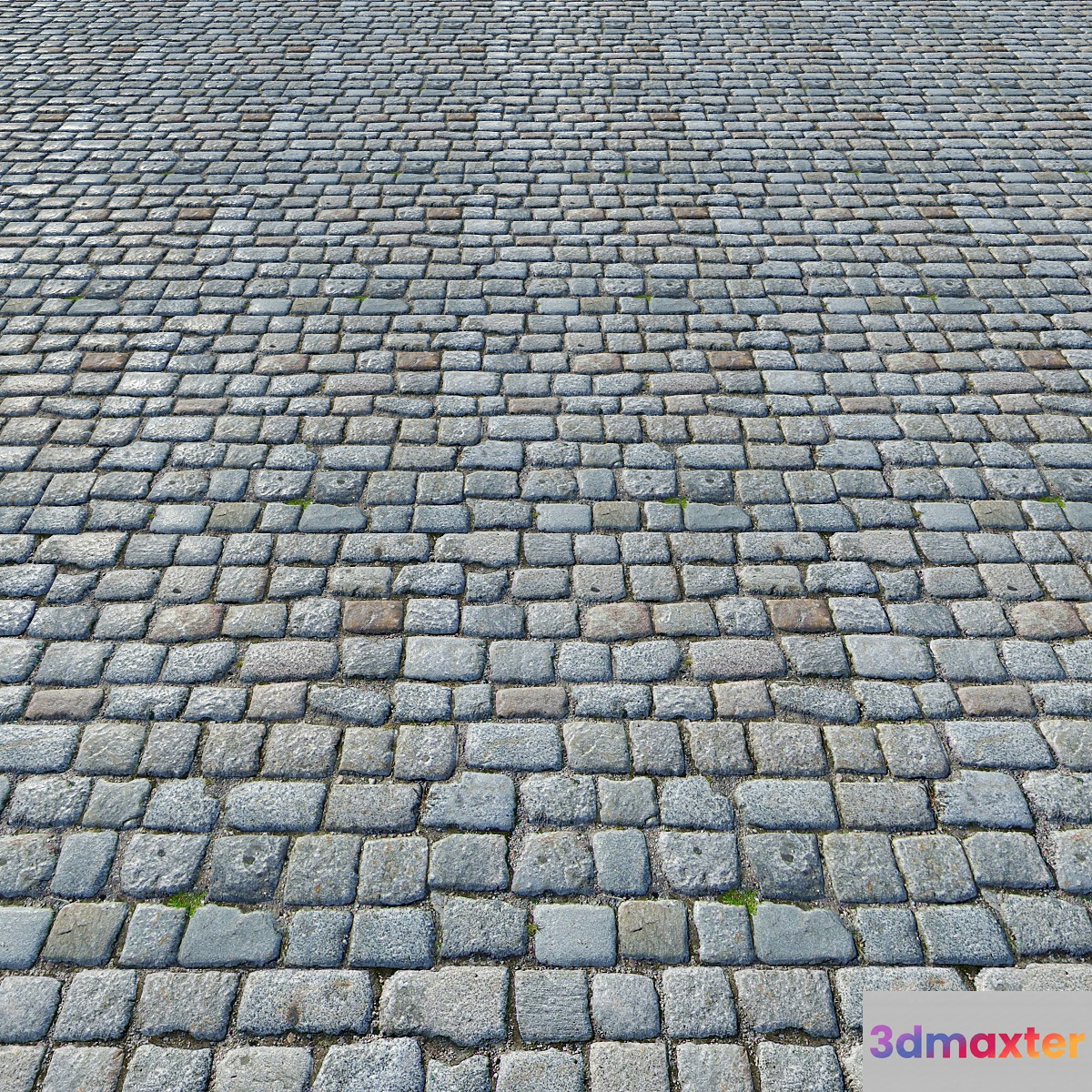 Cobbles - No.6