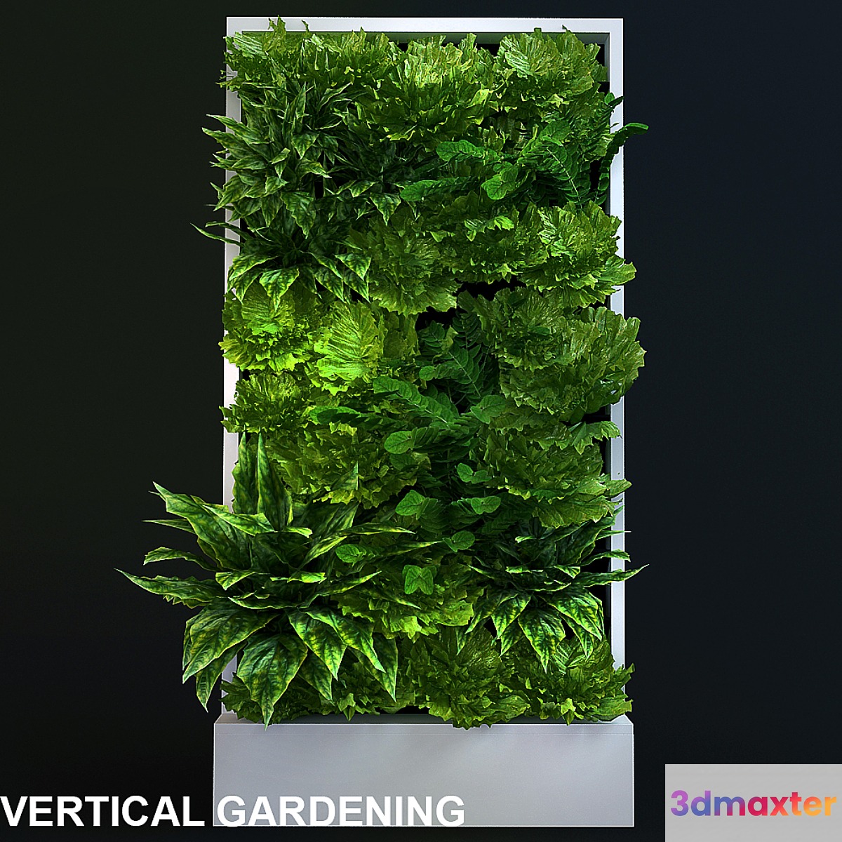 Vertical gardening 4 3D Max