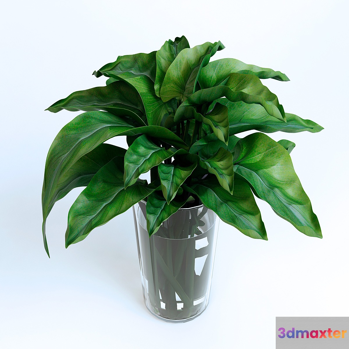 Leaves 3D Max