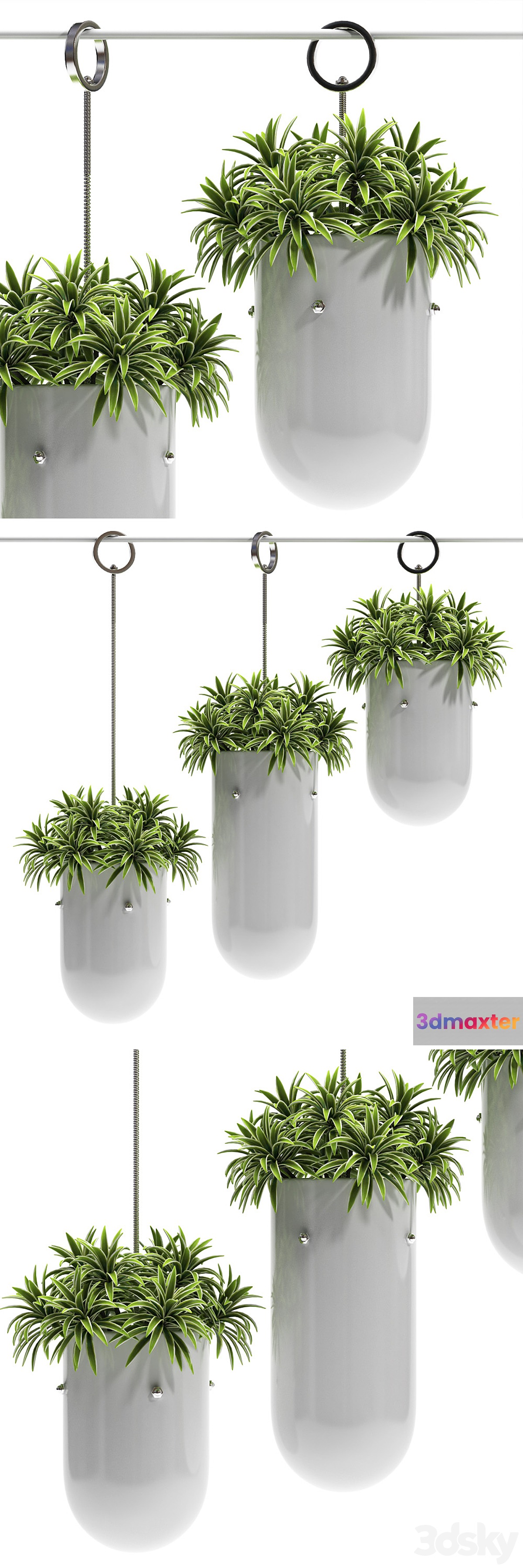 HANGING VASE 3 3D Max