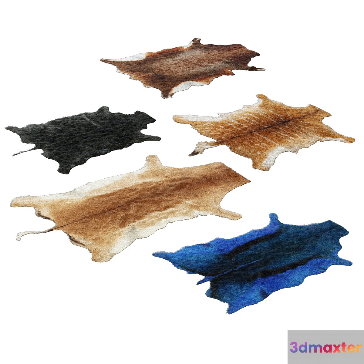 The skins of wild animals - No.4