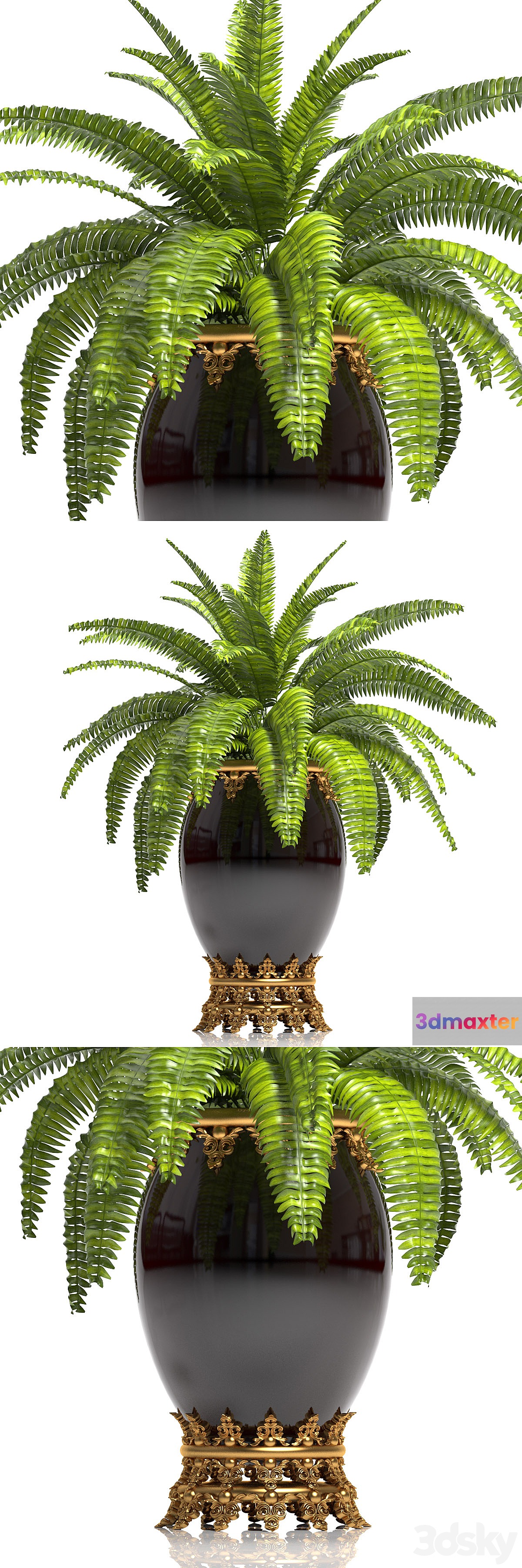 PLANTS 14 3D Max