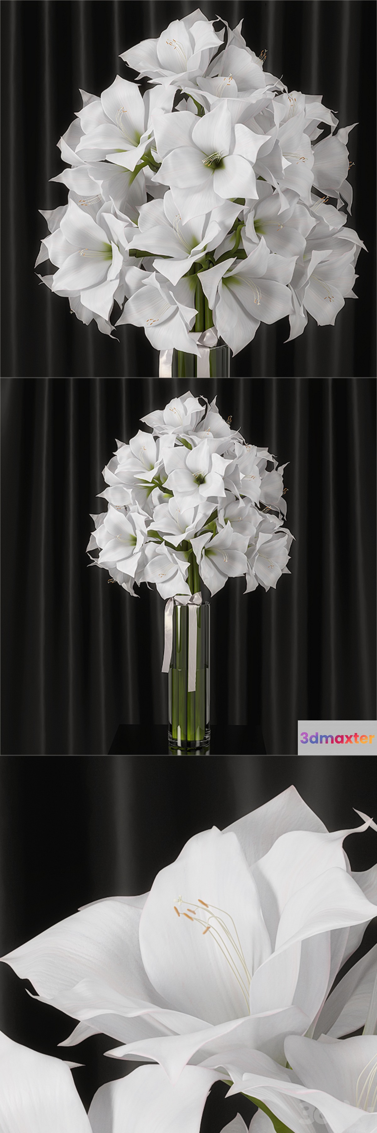 Amaryllis bouquet 3D Max