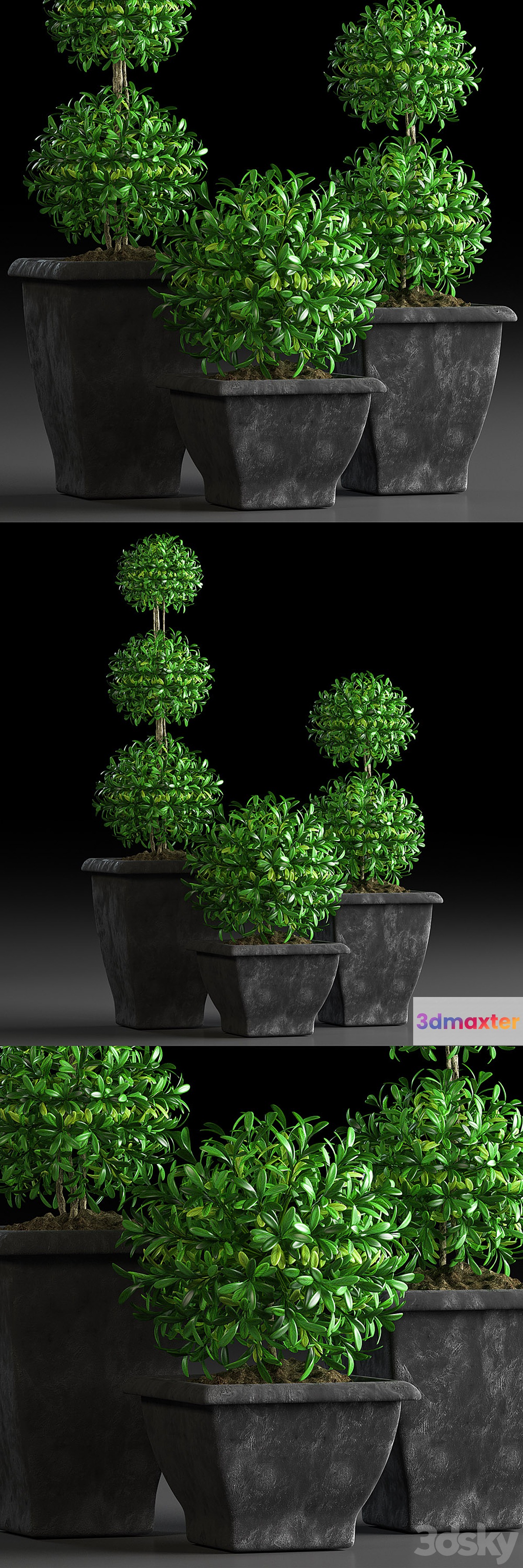 PLANTS 15 3D Max