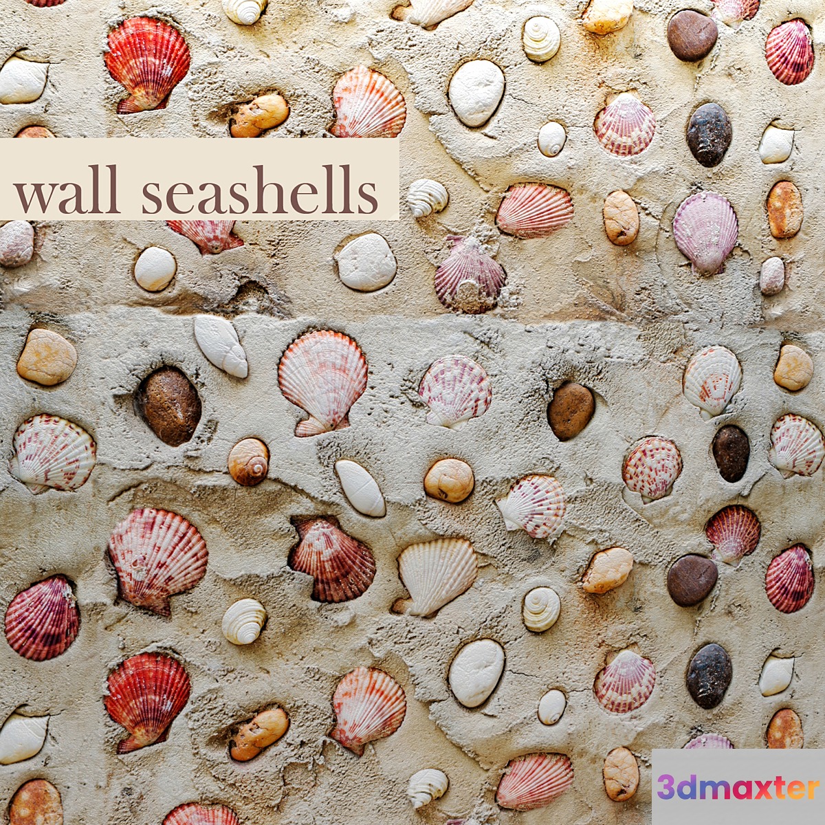 Wall with seashells. 3D Max