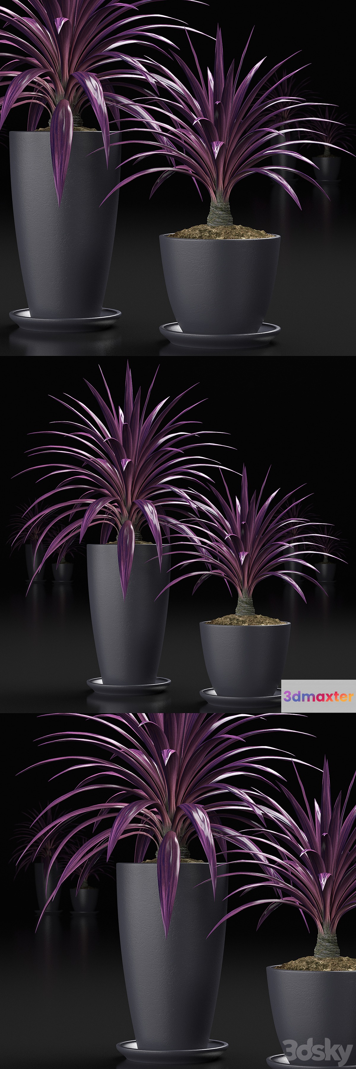 PLANTS_16 - No.2