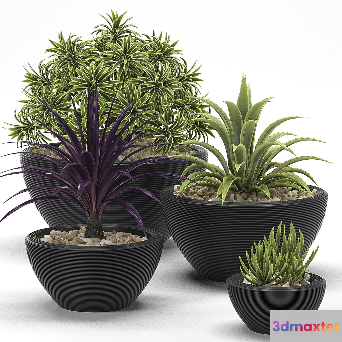 PLANTS 17 - No.3