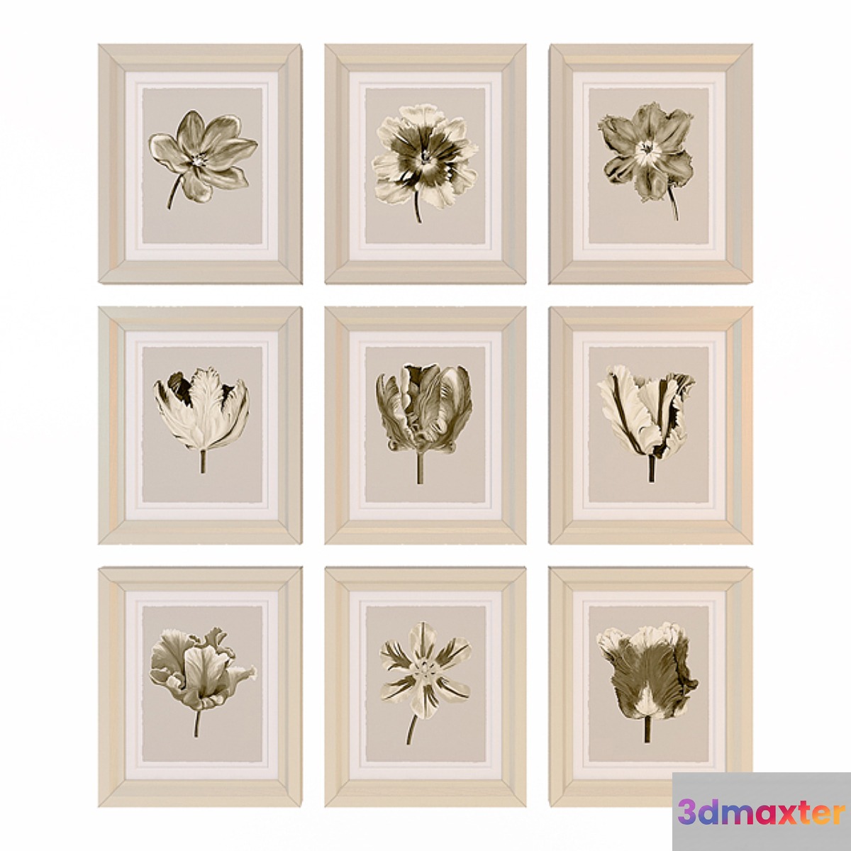 Charlotte Morgan Watercolour Tulips Sepia Nine Piece