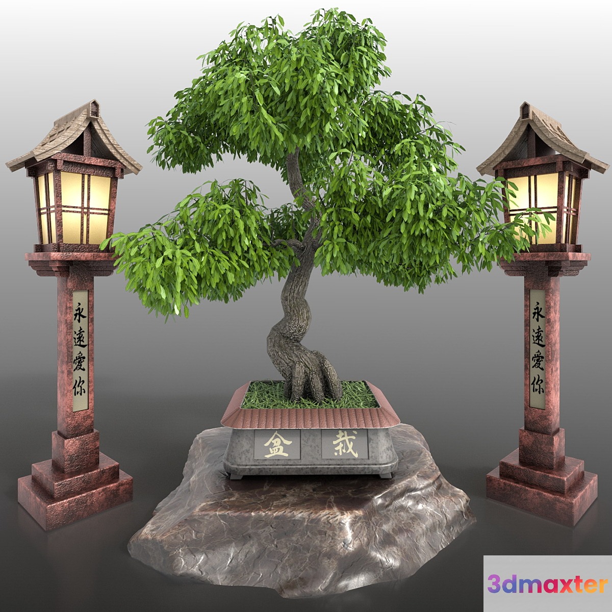 Bonsai 3 - foliage