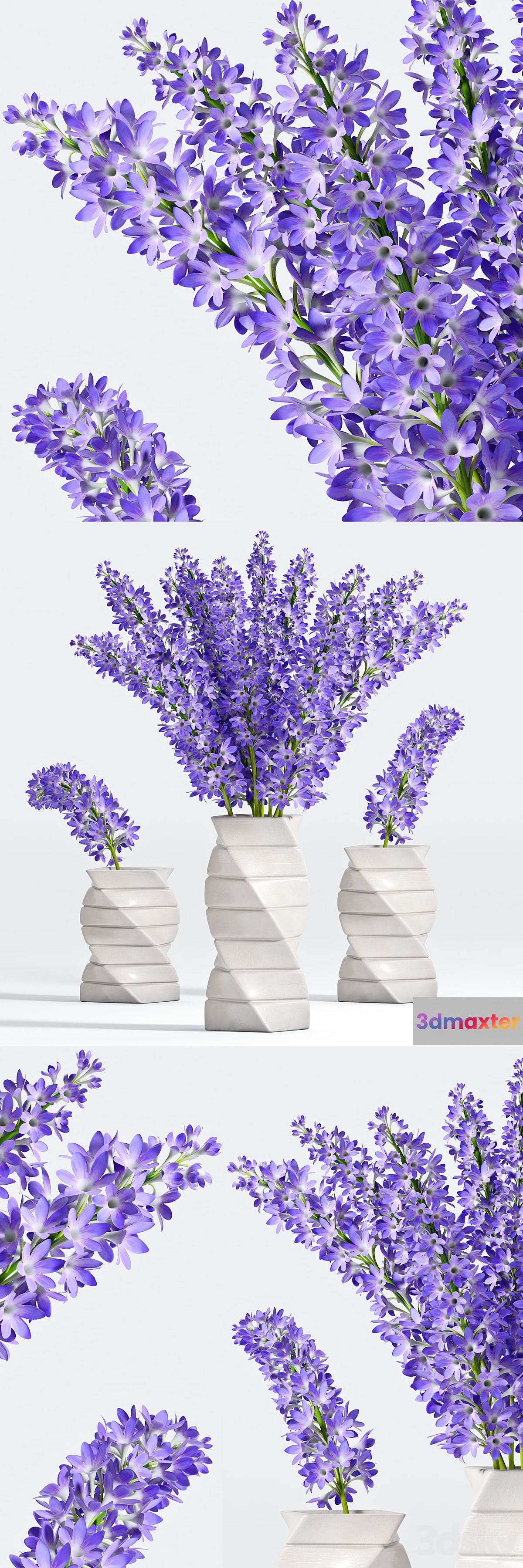 Purple flower vase 3D Max