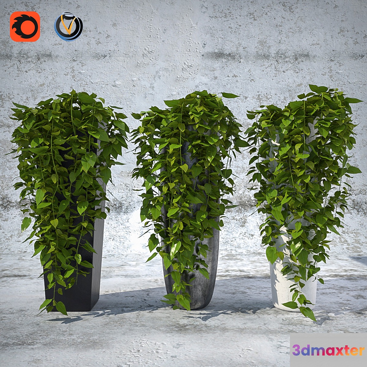Plants 1