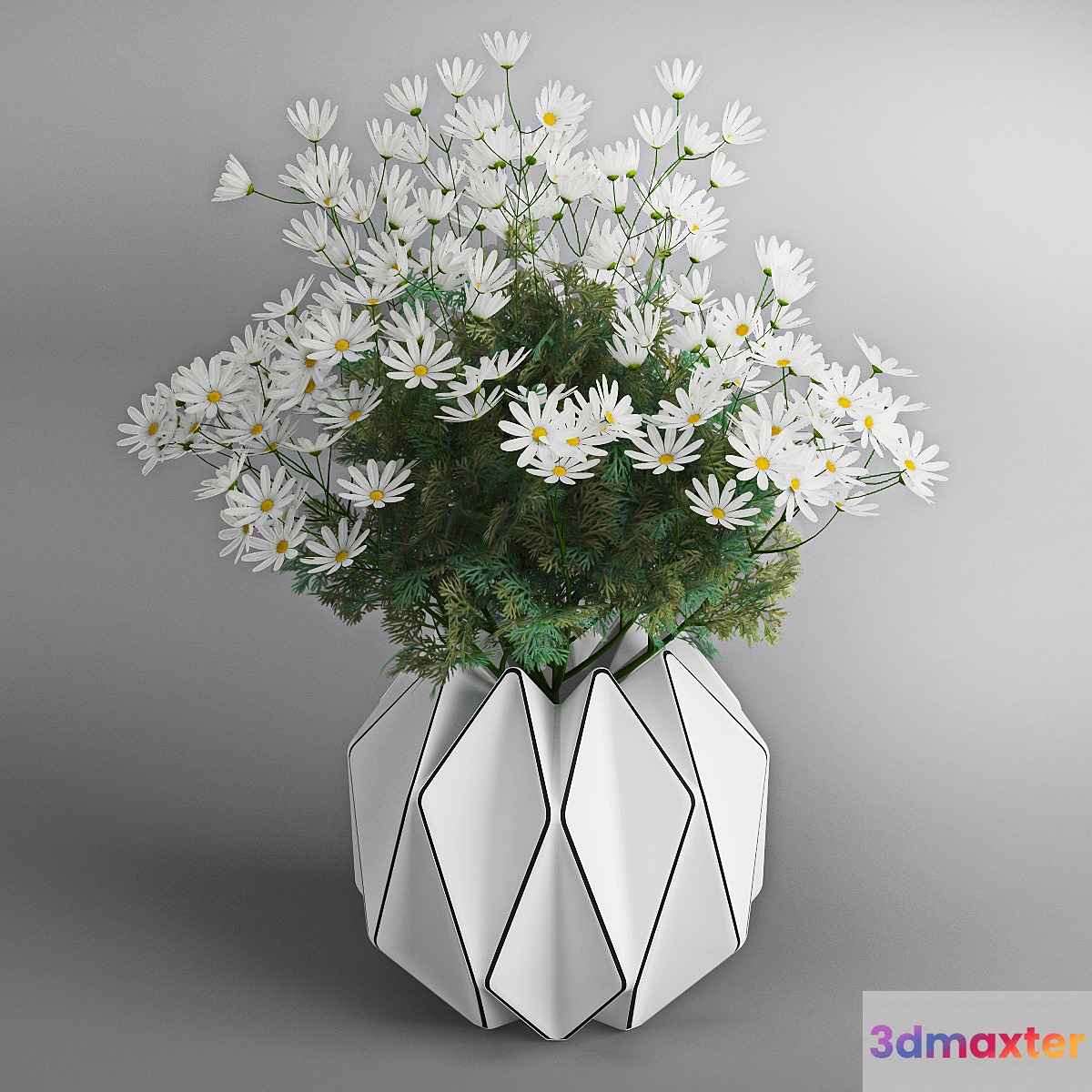 Daisies - No.3