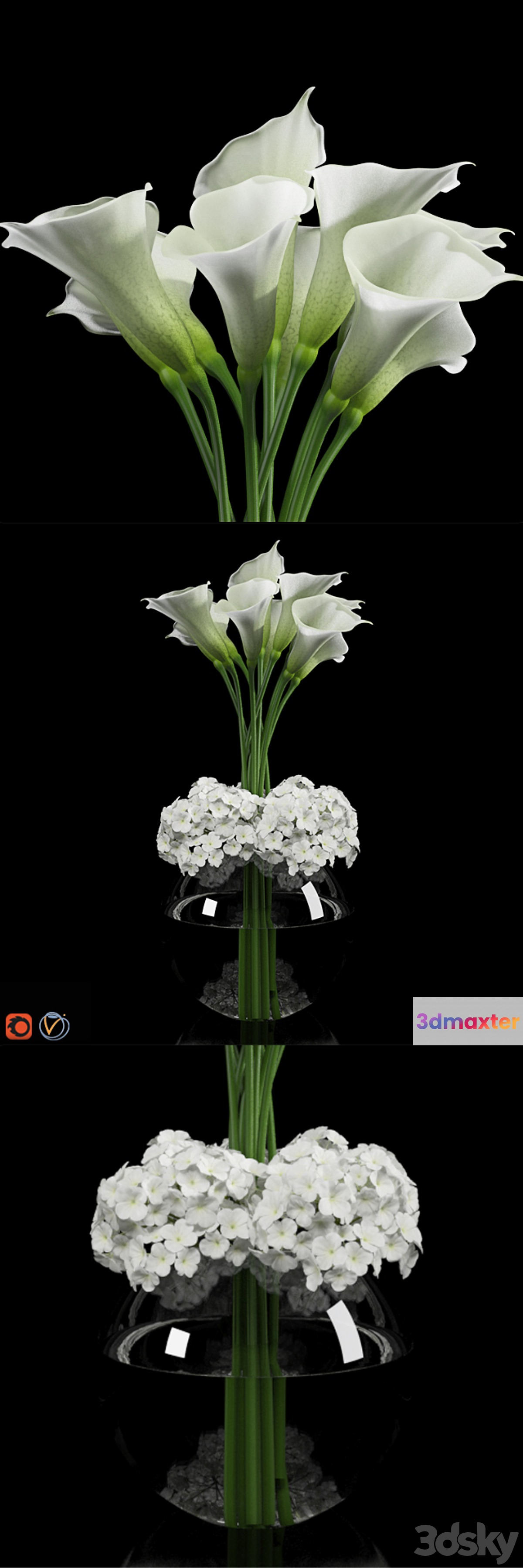 Calla Lily 2 - No.2