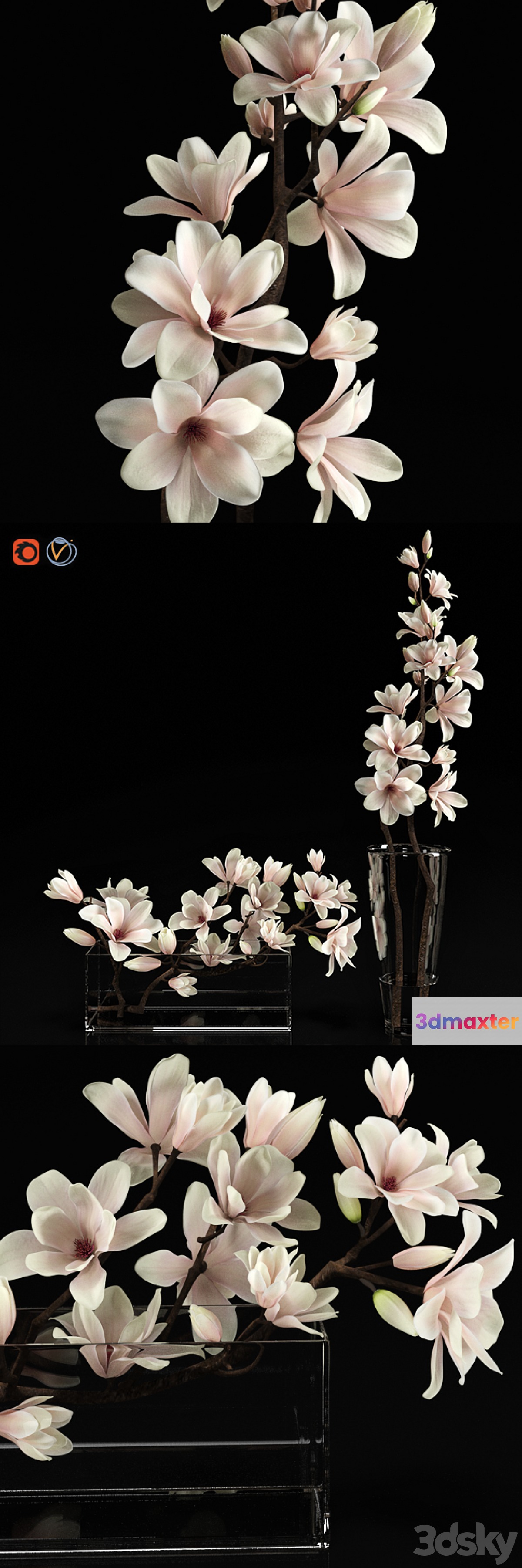 Magnolia 2 3D Max