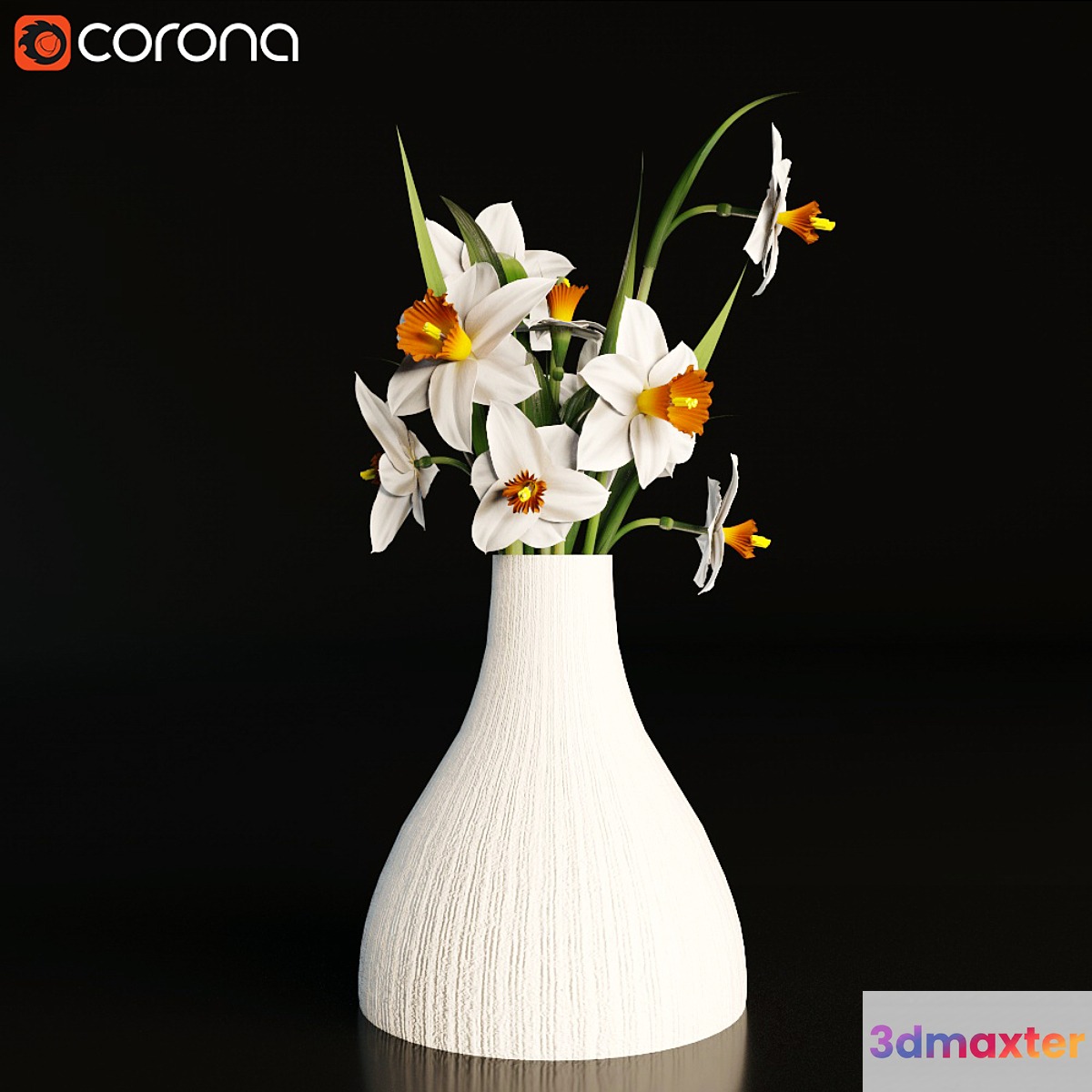Daffodils in a vase