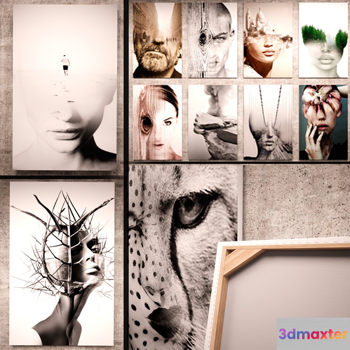 Collages Antonio Mora (16 pcs.) 3D Max