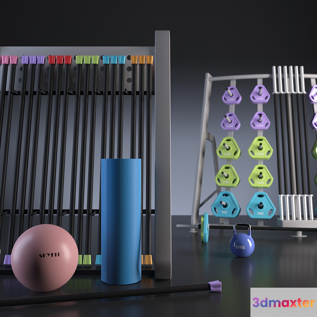 Fitness accessories _ Fitness Accessories 3D Max