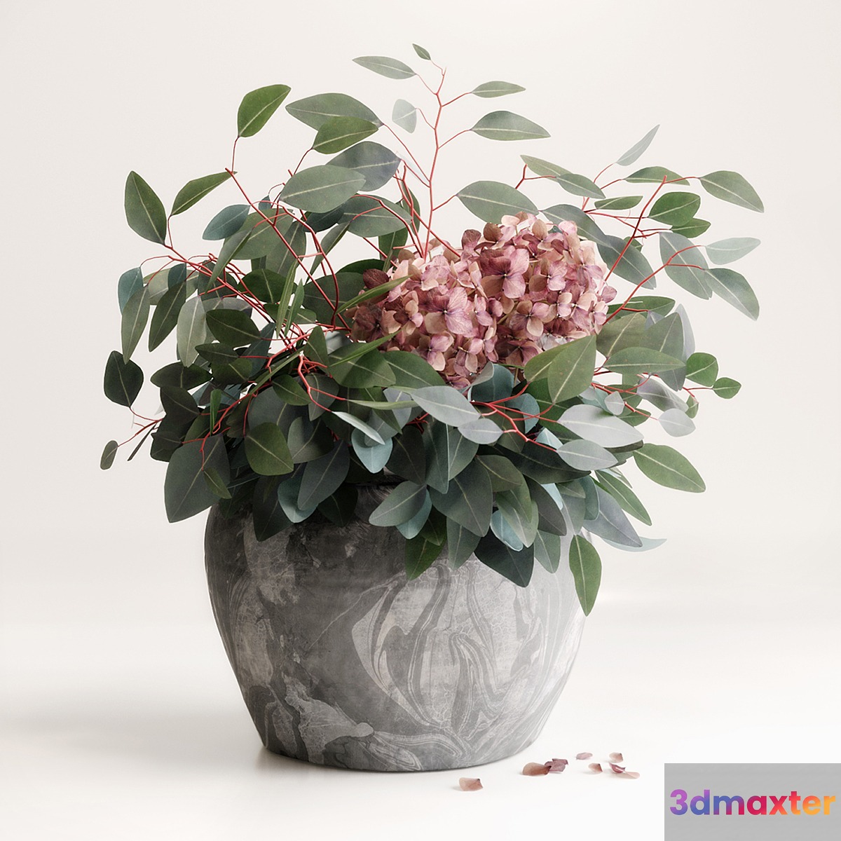 Bouquet of Eucalyptus with Hydrangea - No.3