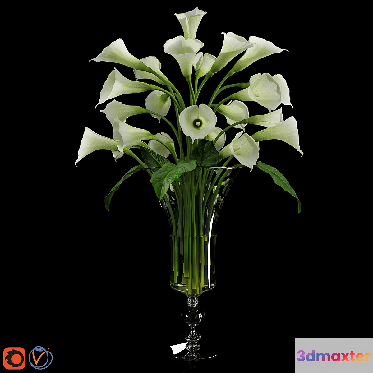 Calla Lily 3 3D Max
