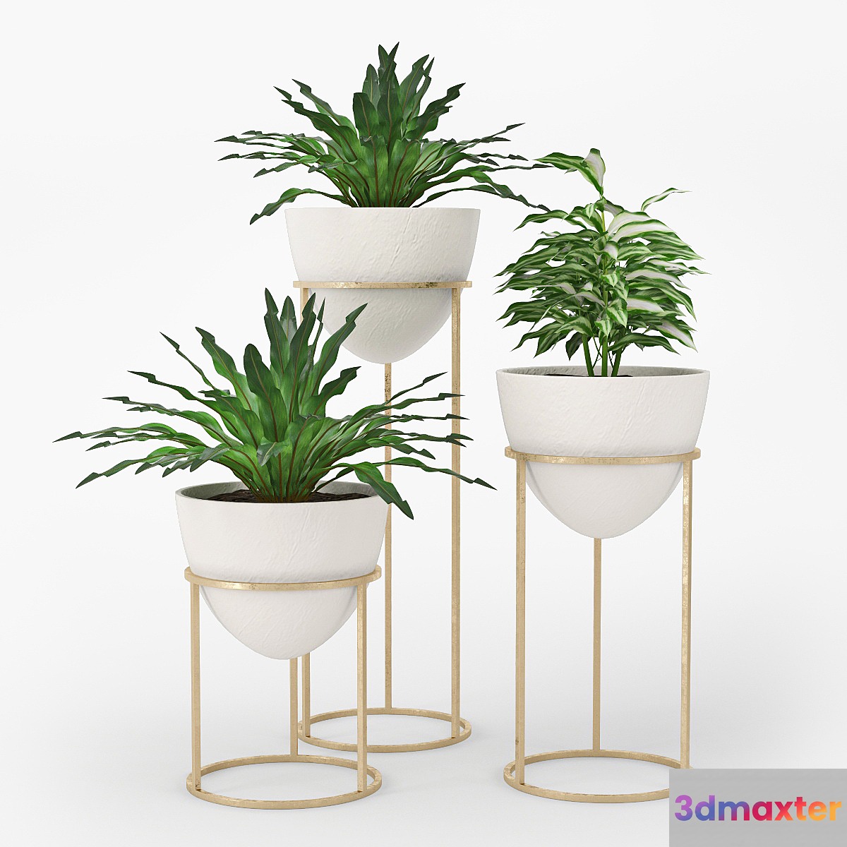 Plant - No.28