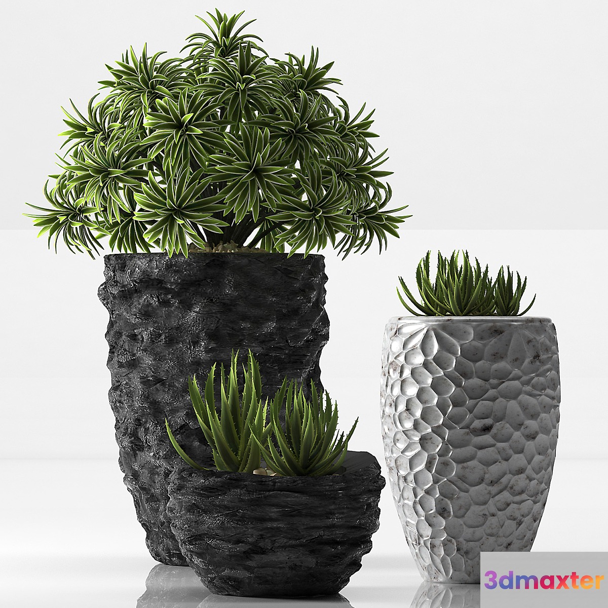 PLANTS 31 - No.3