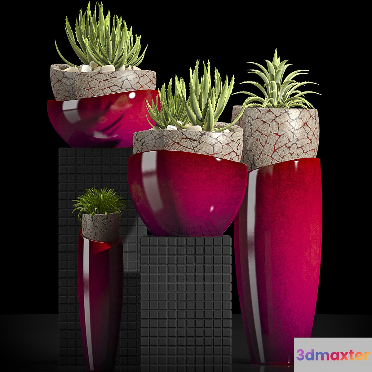 PLANTS 32