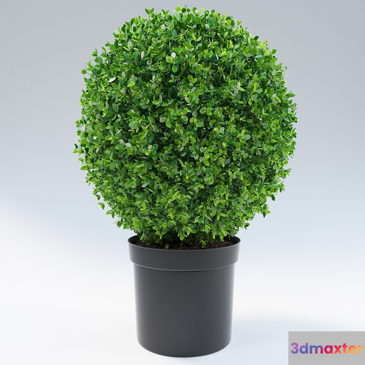 bush 3D Max