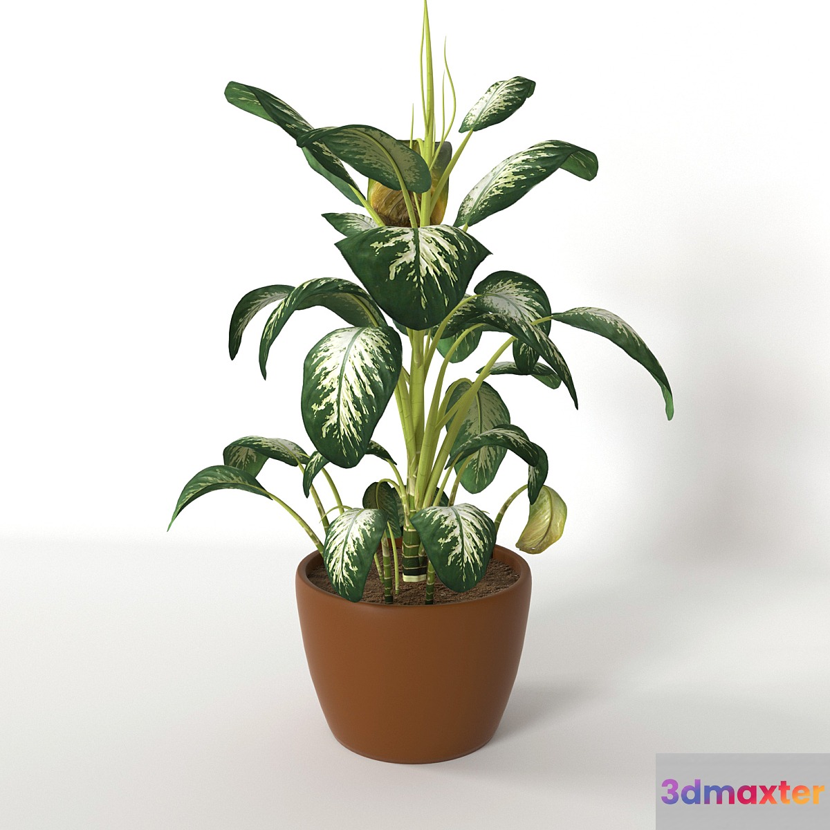 Diffinbahiya 3D Max