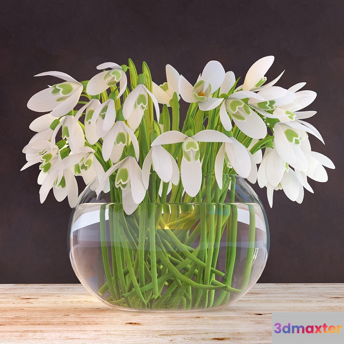 Snowdrops in a vase