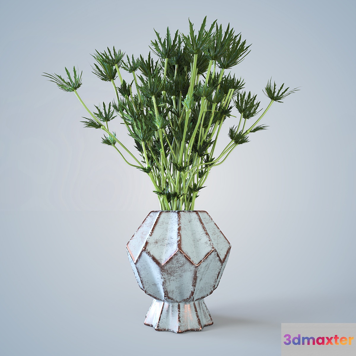 Barb in a vase - No.3