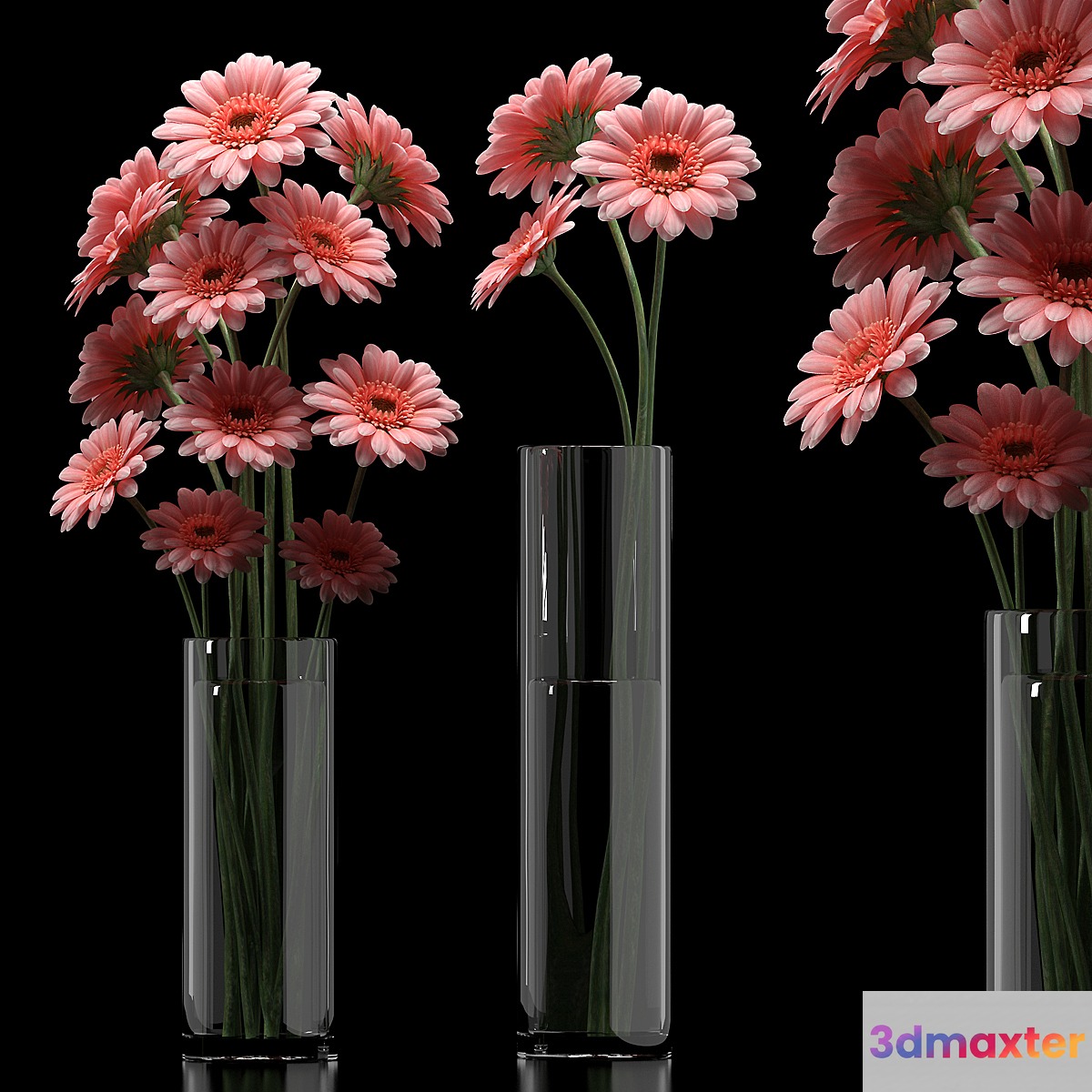 GERBERA 5 3D Max