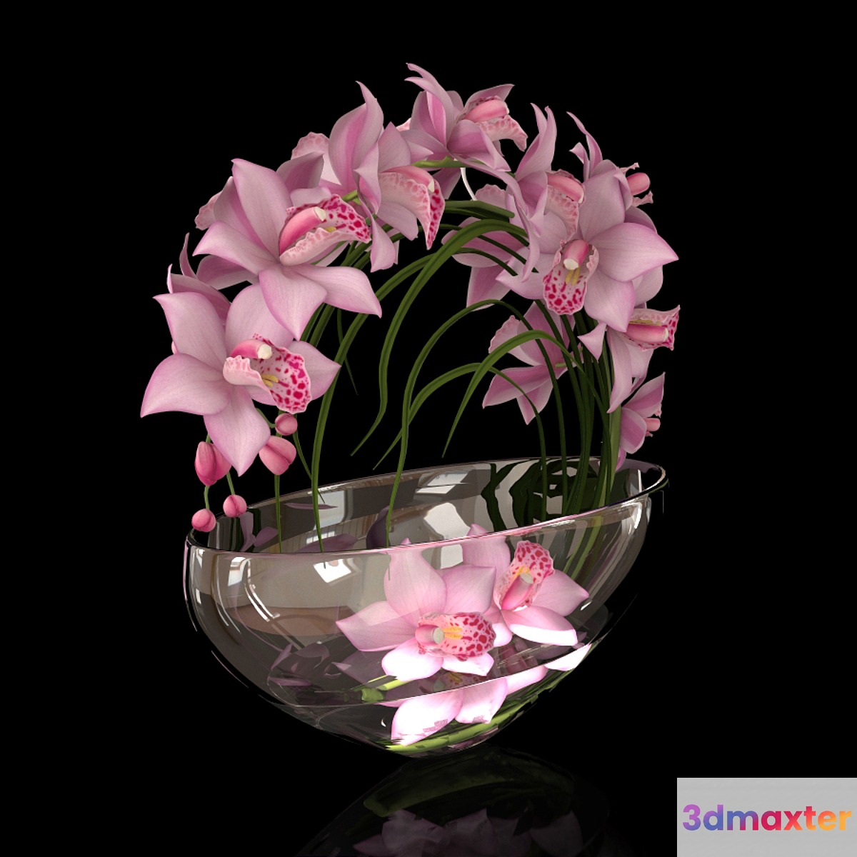 orchid - No.23