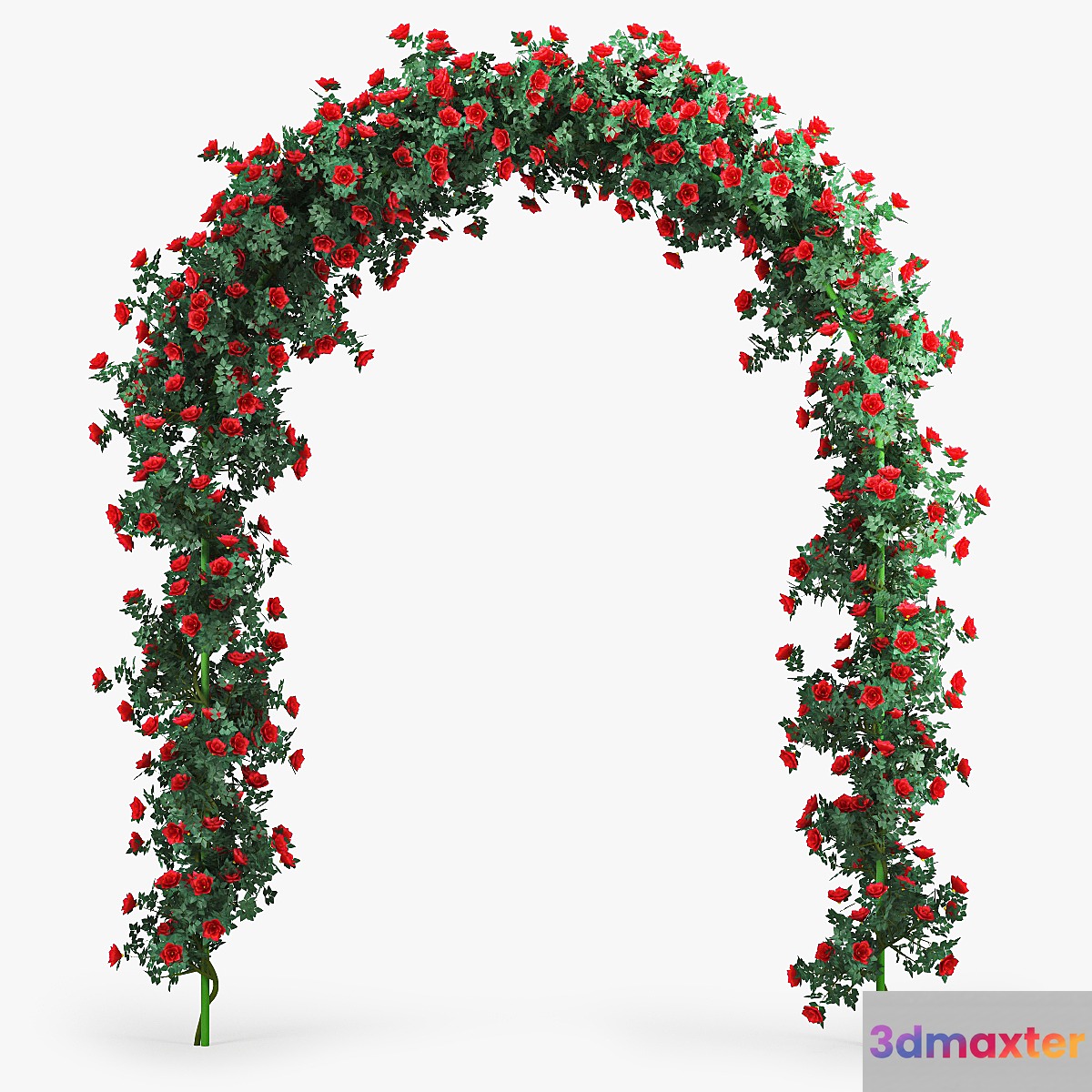 Rose Arch