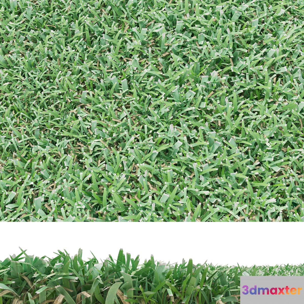 lawn 3D Max