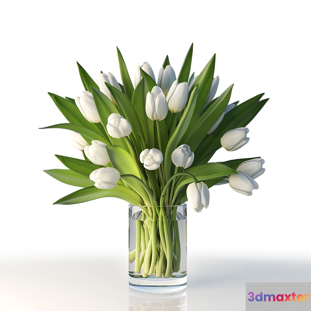 Tulips - No.10