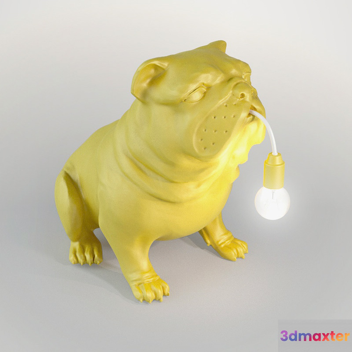 Light dog