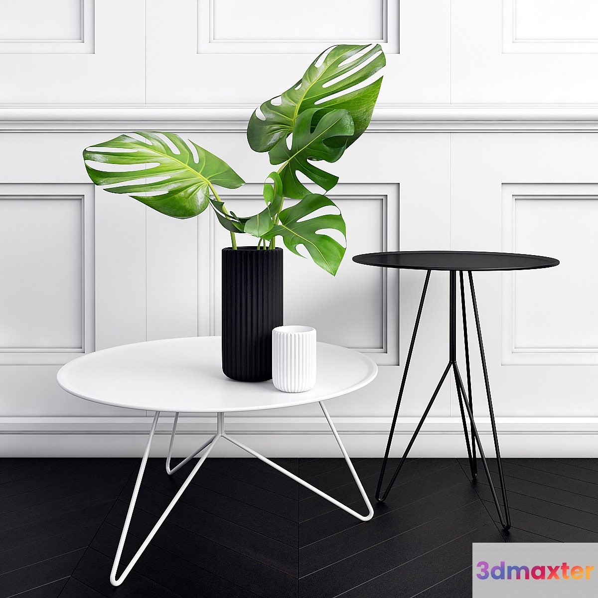 Philodendron 3D Max