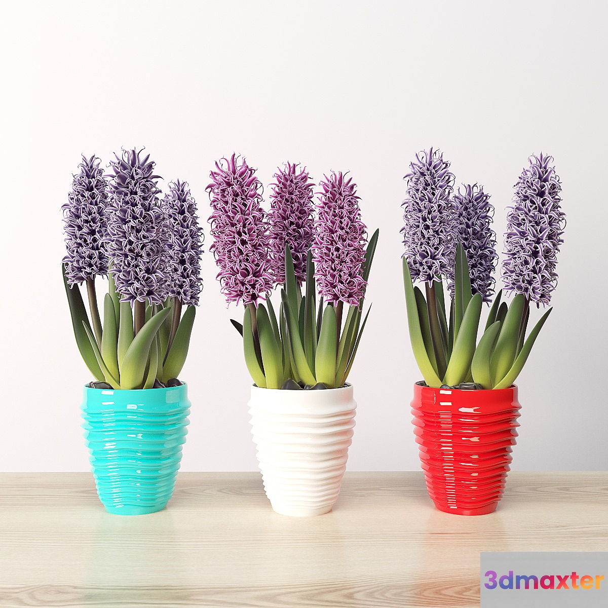 Hyacinth (Hyacínthus)