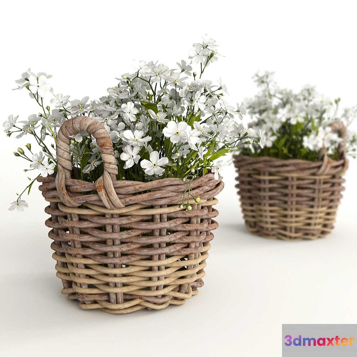 Flower baskets 3D Max