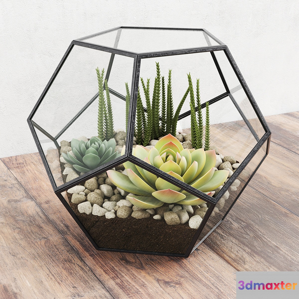 Florarium - No.4